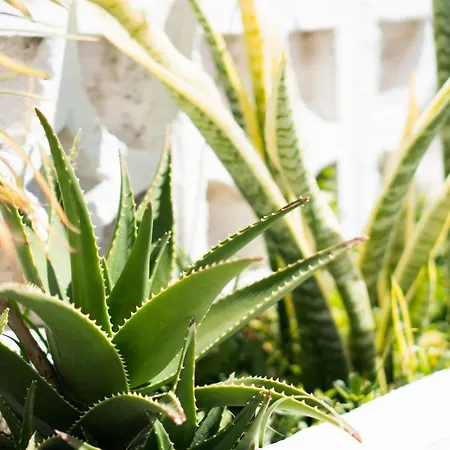 Διαμέρισμα Residencial Parque Flores